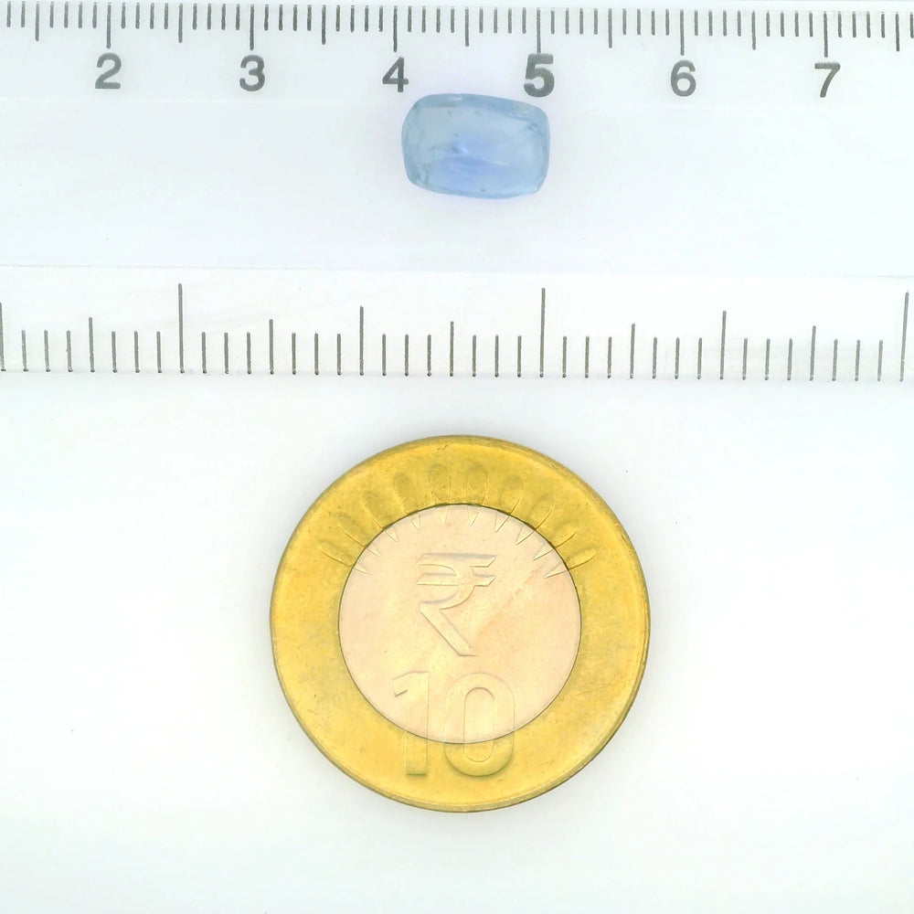 IGITL_211797_SCALE.webp