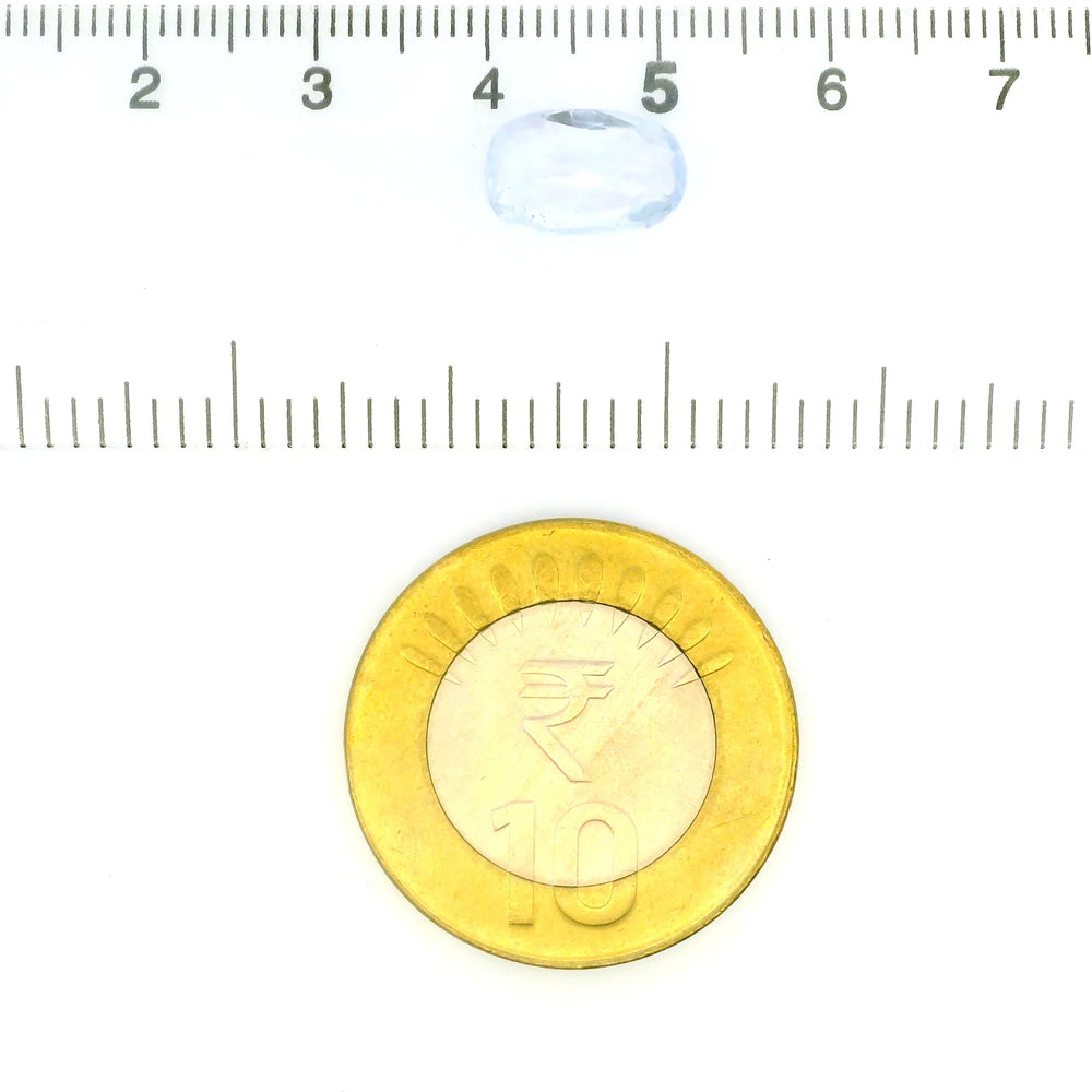 IGITL_211803_SCALE.webp
