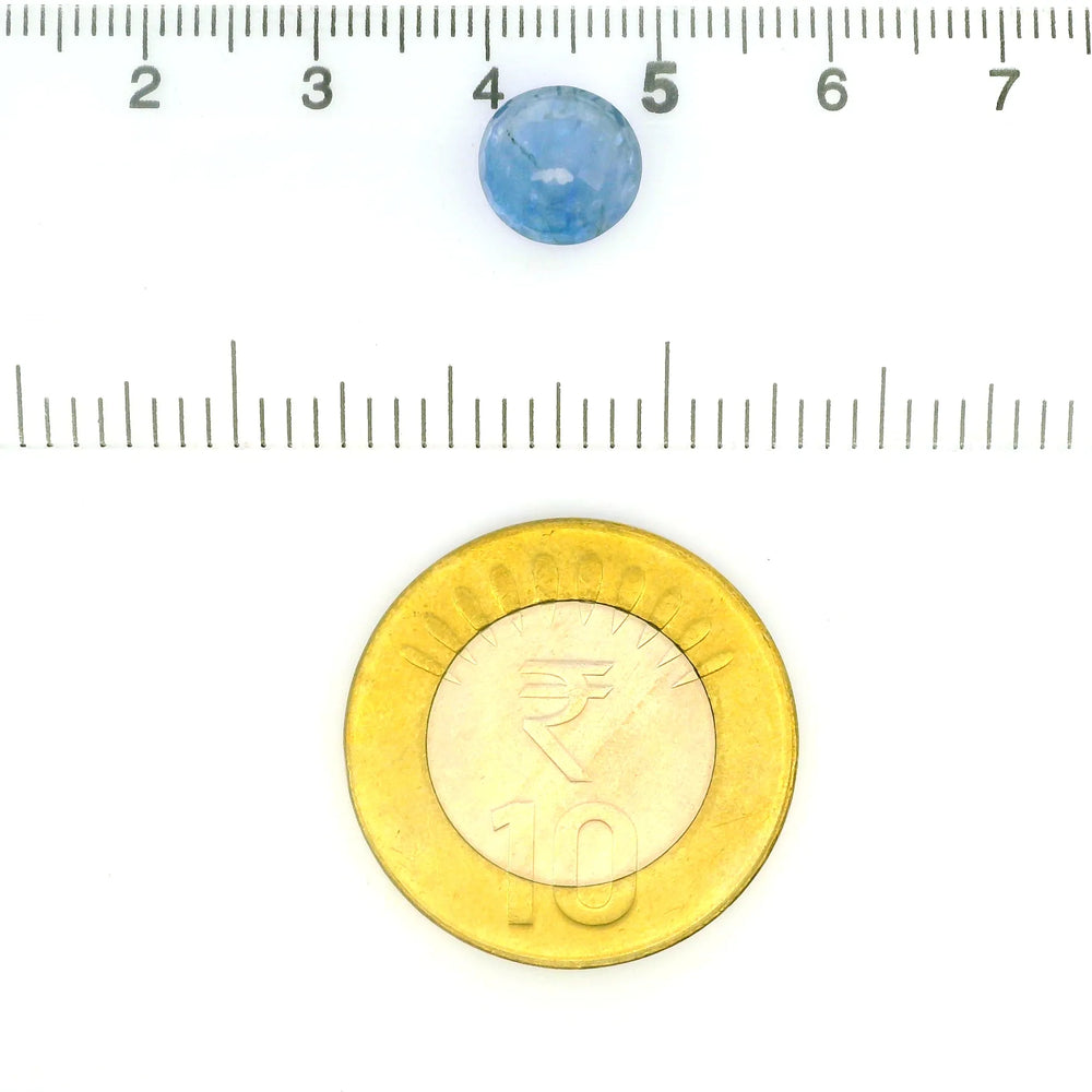 IGITL_211804_SCALE.webp