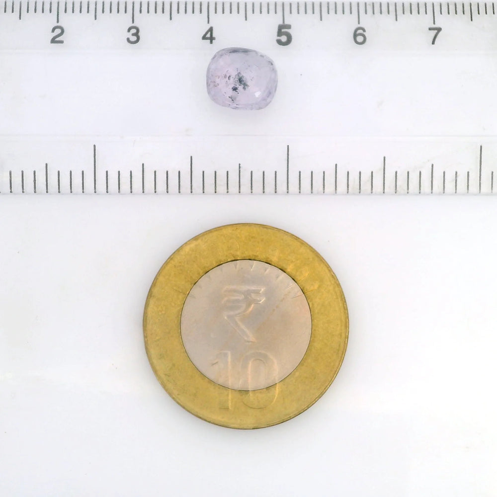 IGITL_211815_SCALE.webp