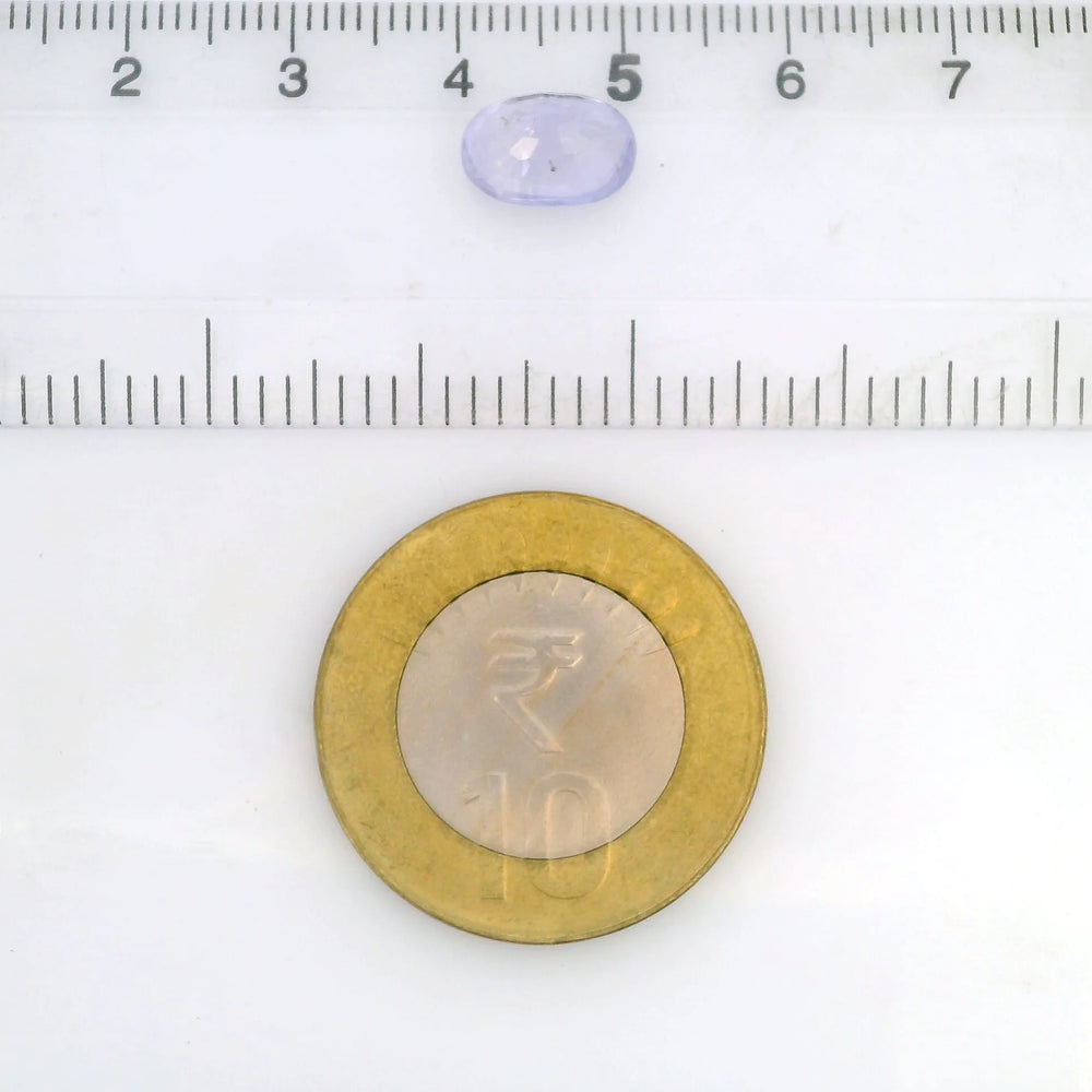 IGITL_211817_SCALE.webp