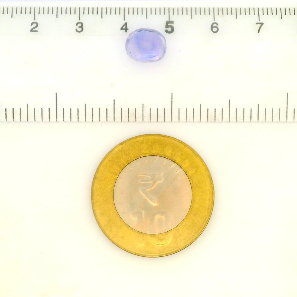 IGITL_211847_SCALE.webp