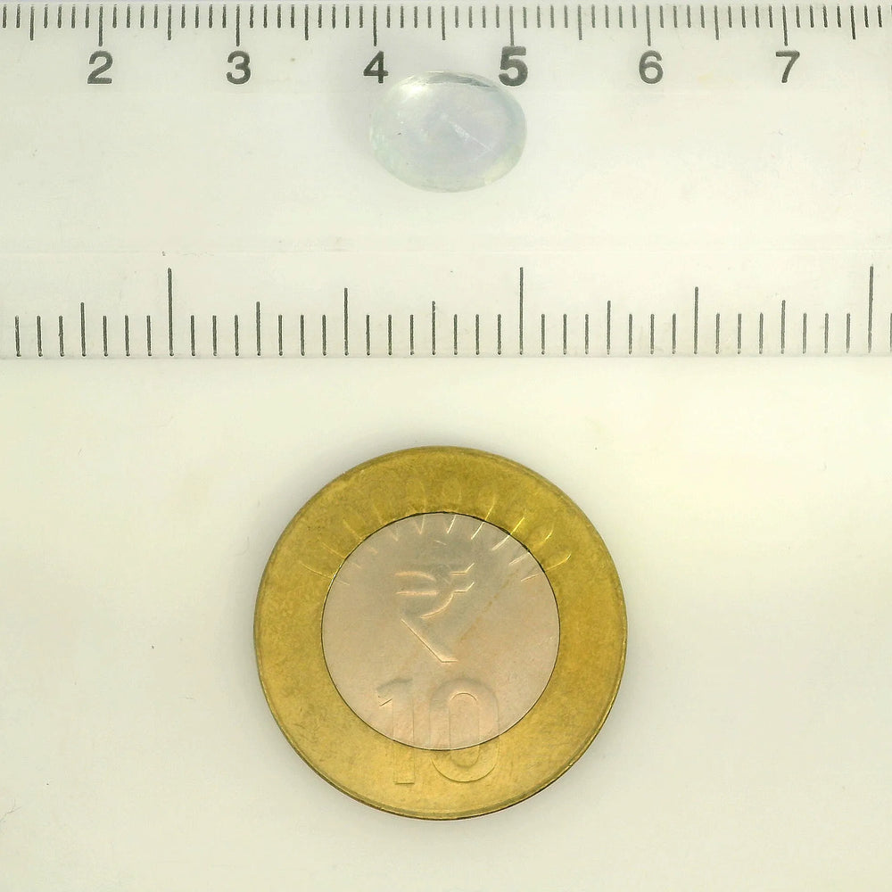 IGITL_211854_SCALE.webp