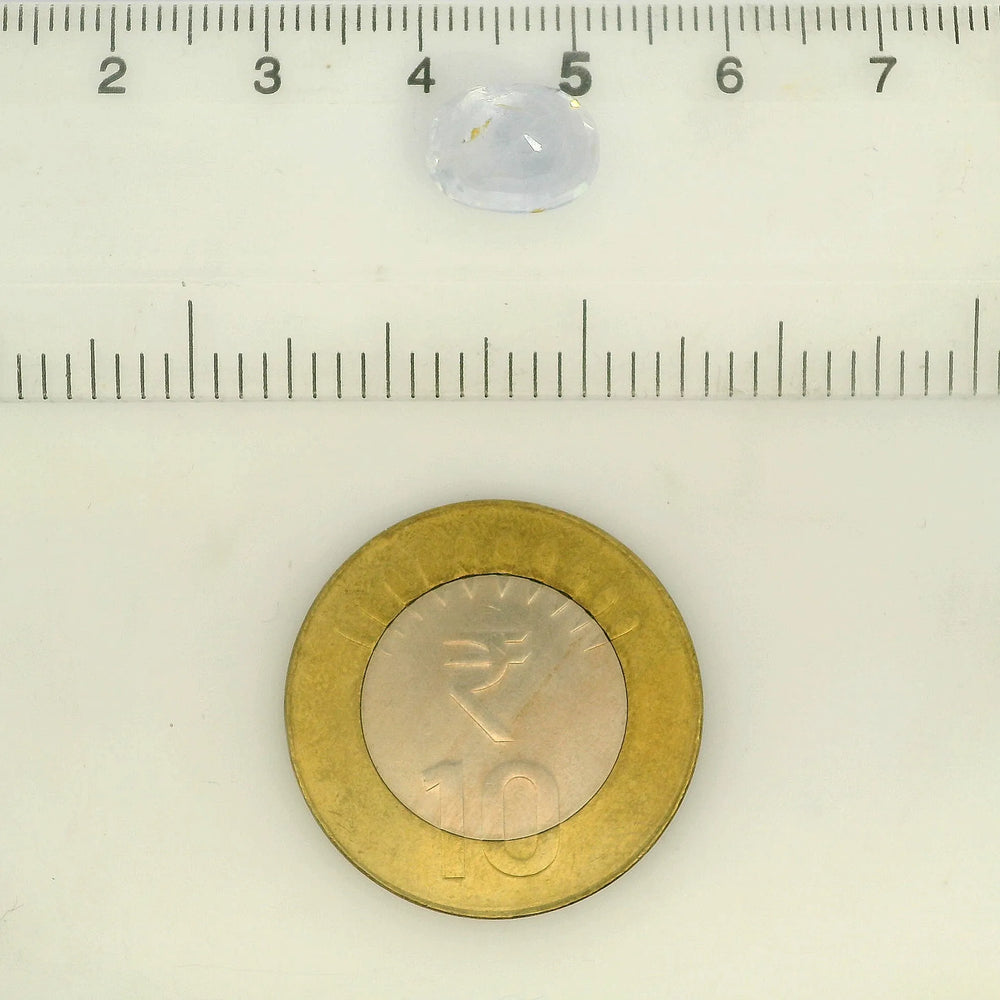 IGITL_211855_SCALE.webp