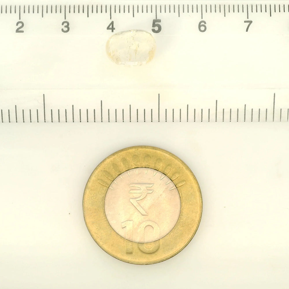 IGITL_211860_SCALE.webp