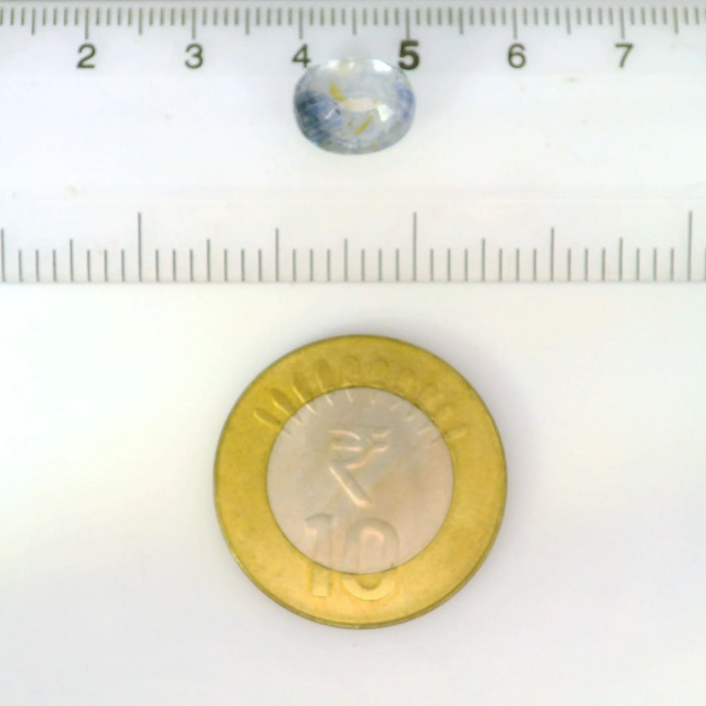 IGITL_211986_SCALE.webp