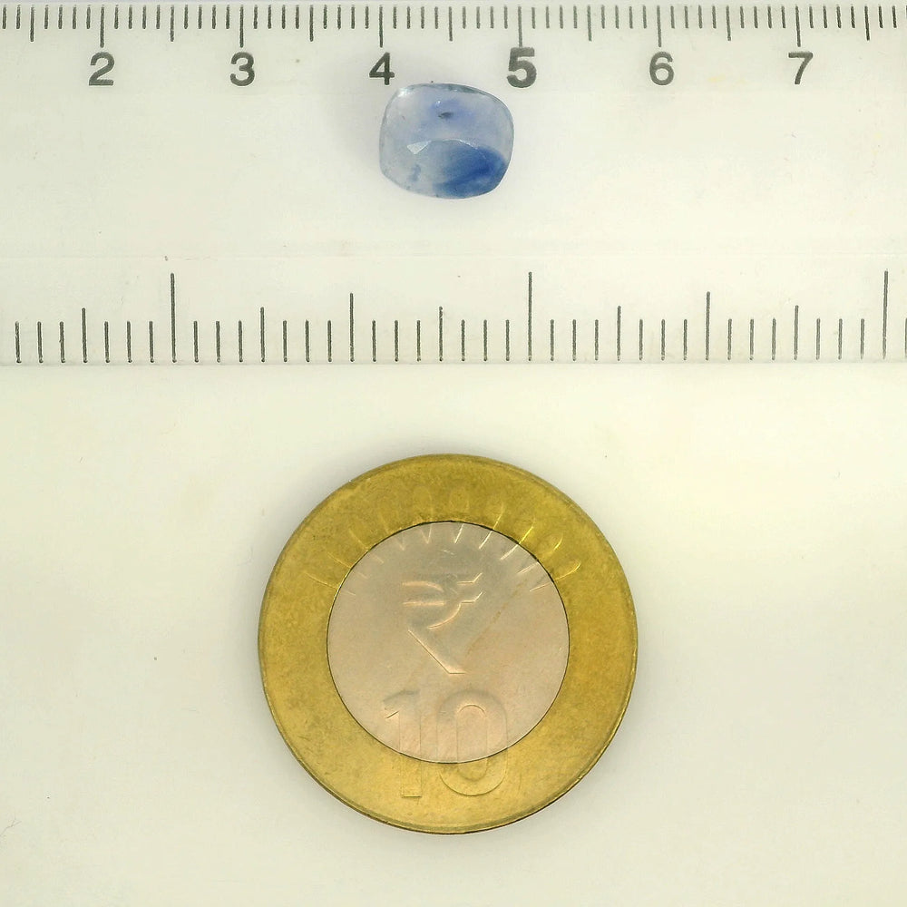IGITL_211994_SCALE.webp