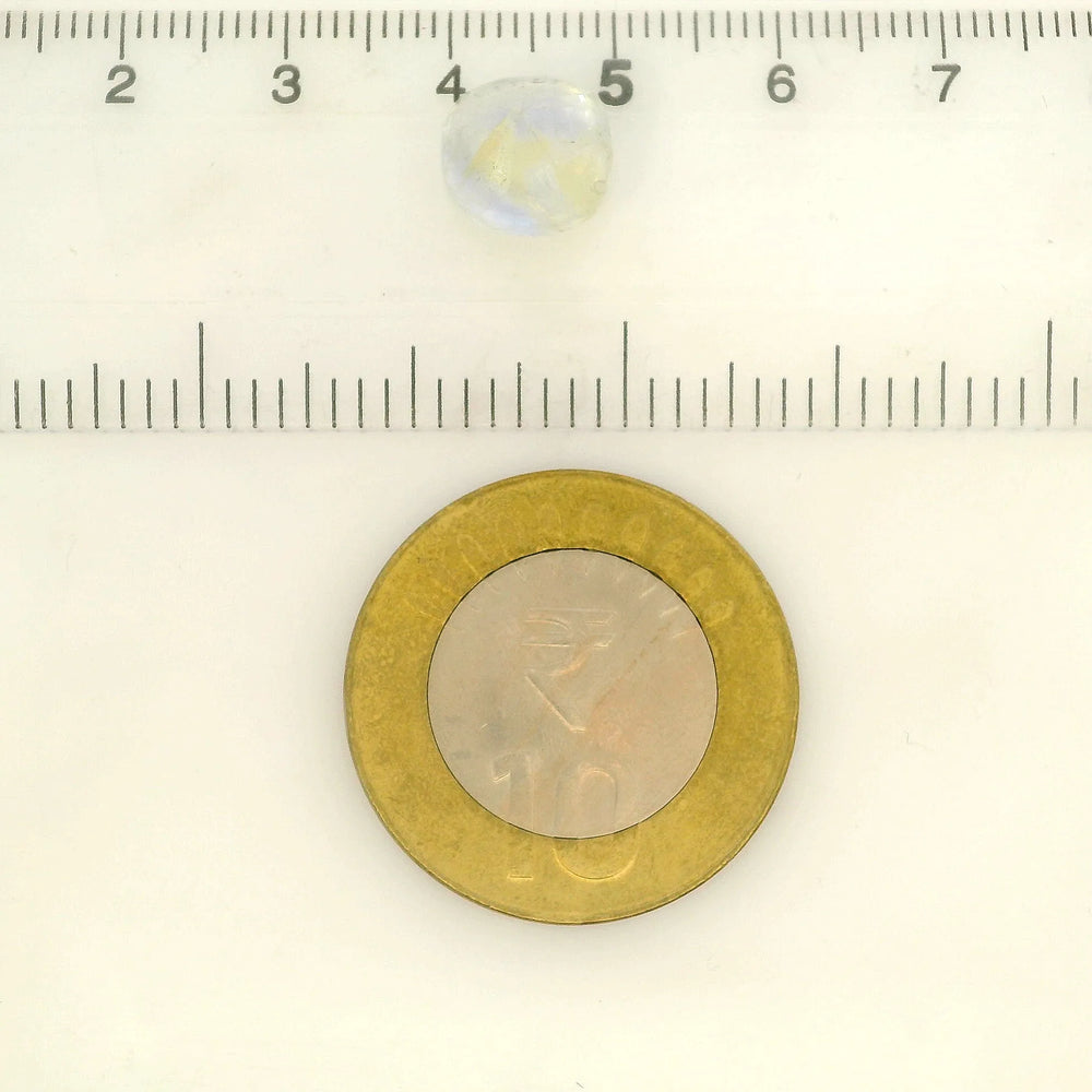 IGITL_211997_SCALE.webp