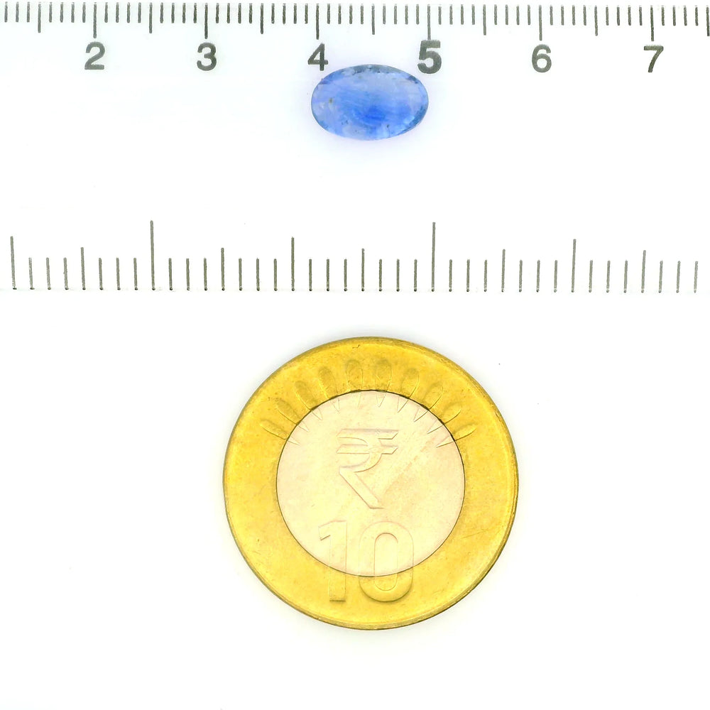 IGITL_212018_SCALE.webp