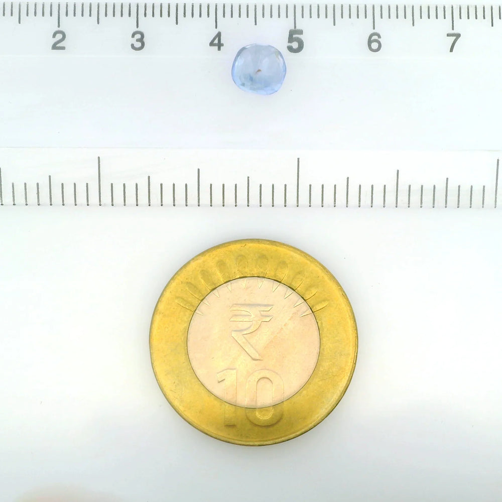 IGITL_212025_SCALE.webp