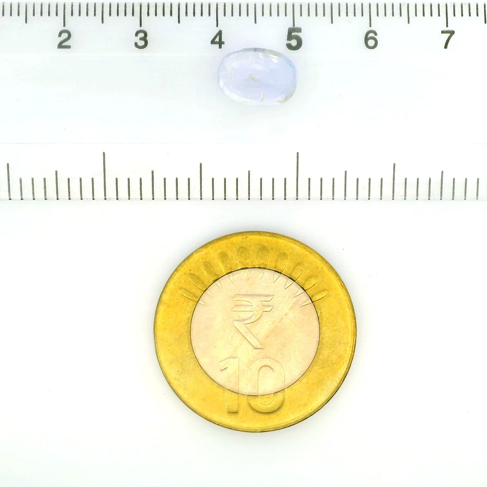 IGITL_212056_SCALE.webp
