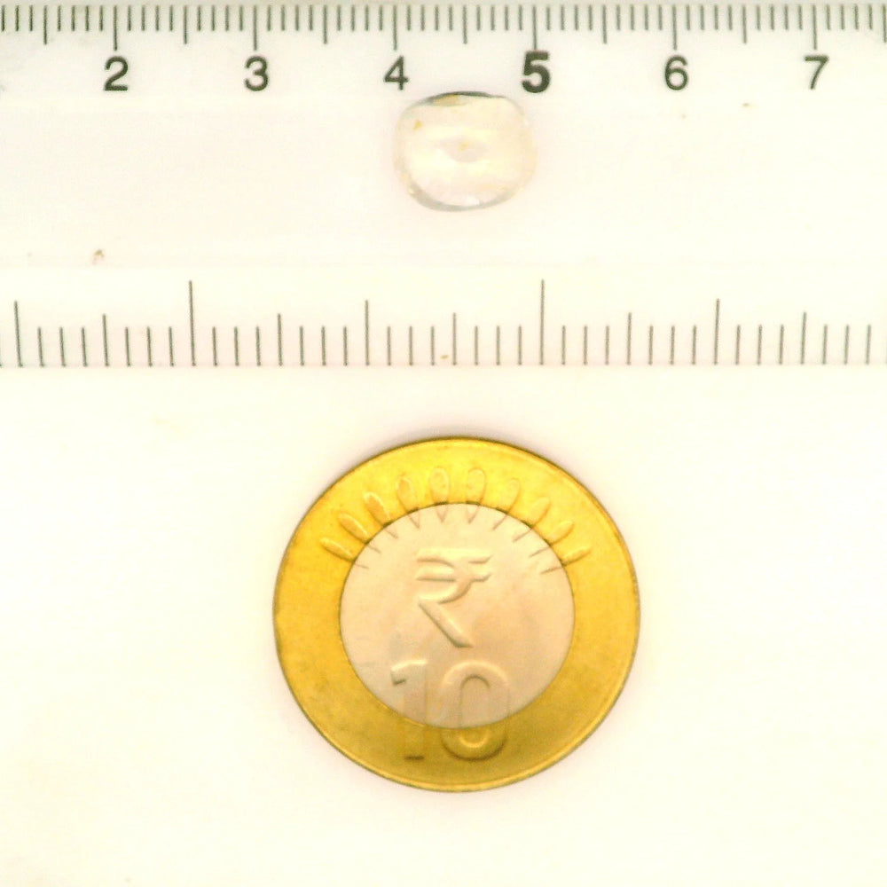 IGITL_212061_SCALE.webp