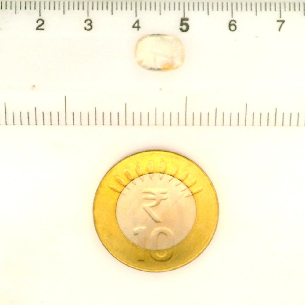 IGITL_212063_SCALE.webp