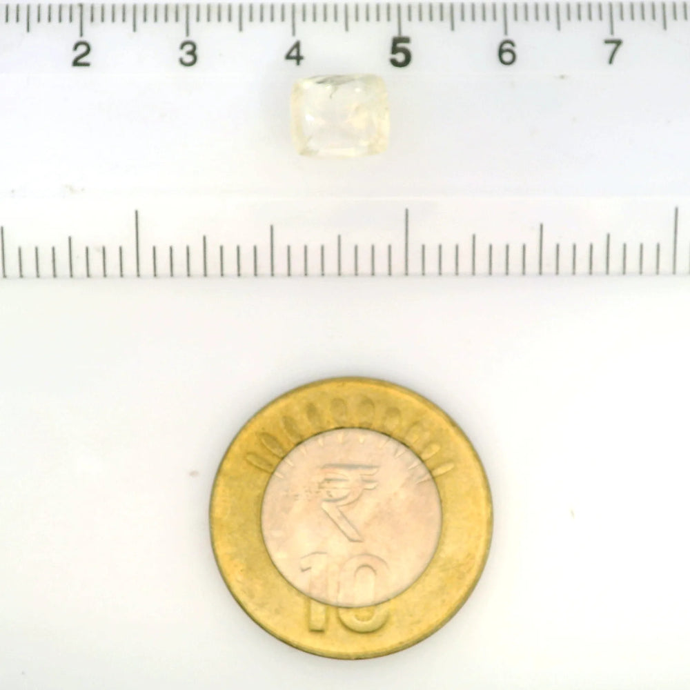 IGITL_212072_SCALE.webp