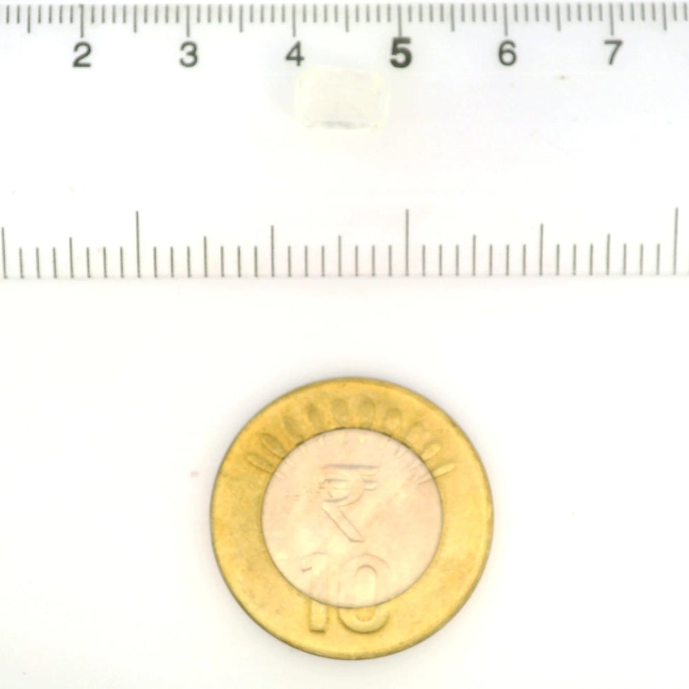 IGITL_212079_SCALE.webp