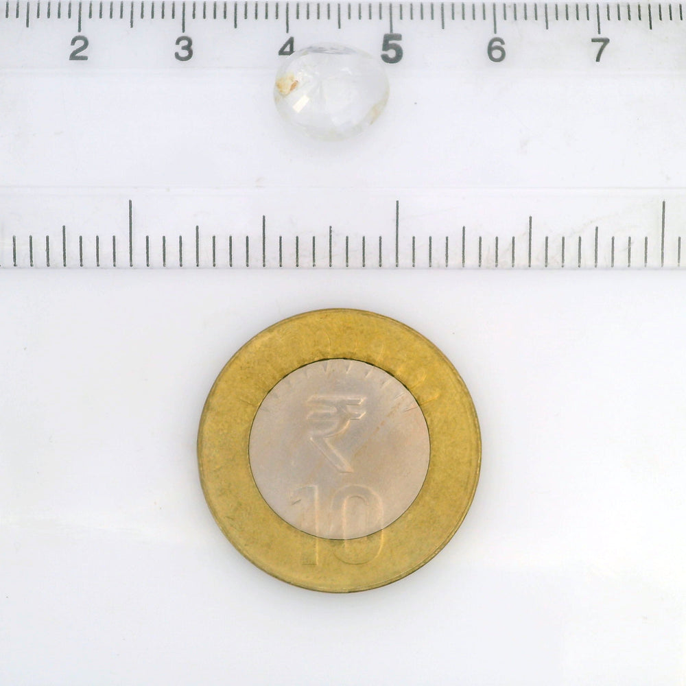 IGITL_212090_SCALE.jpg