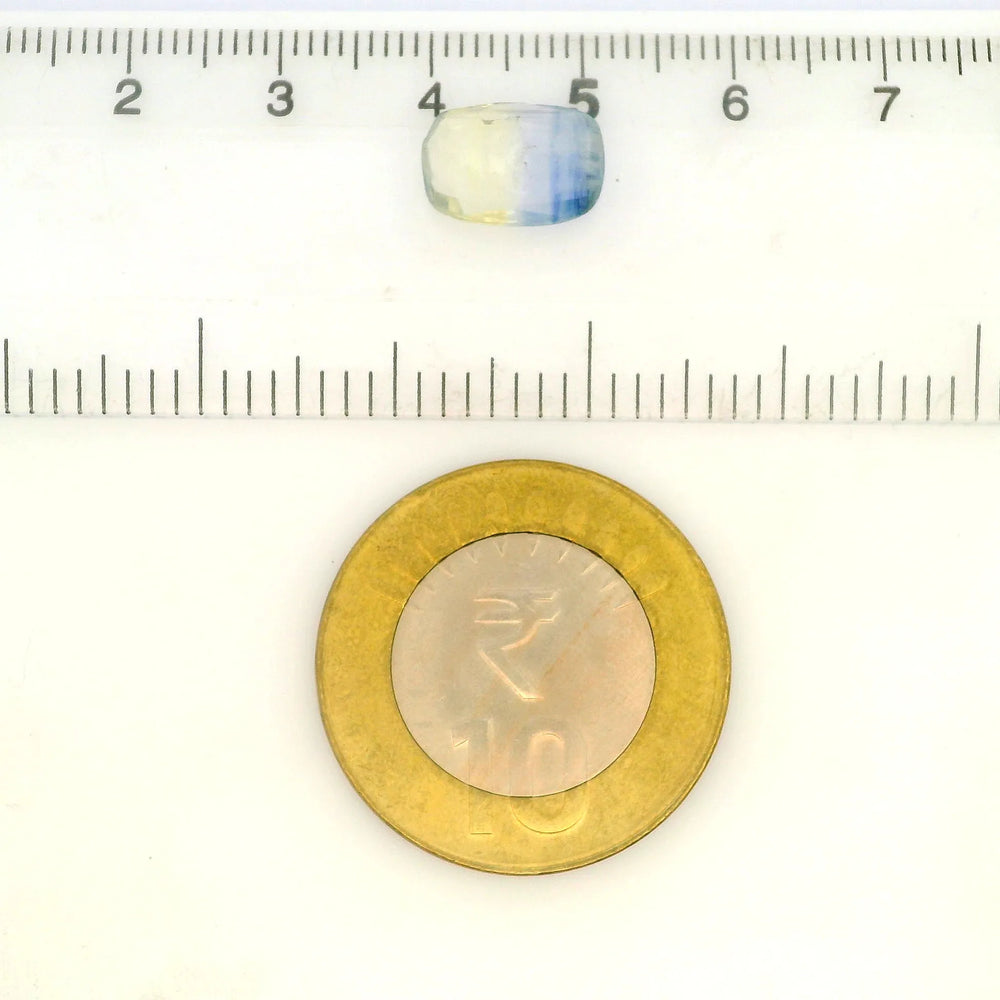 IGITL_212099_SCALE.webp