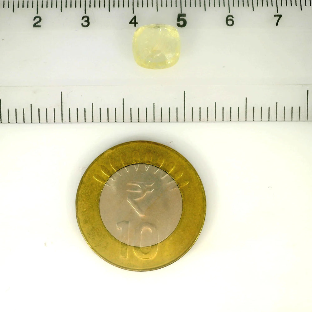 IGITL_217665_SCALE.webp