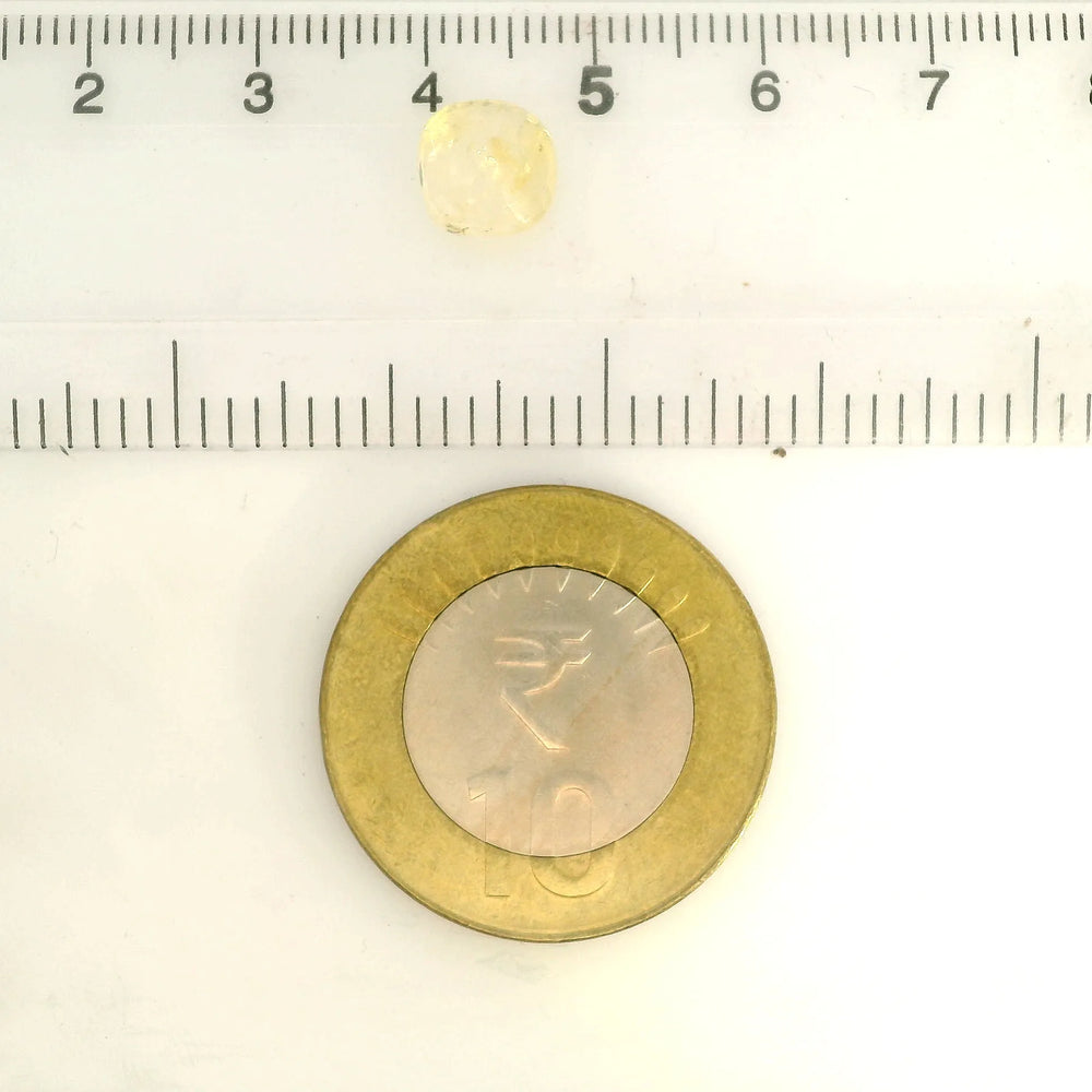 IGITL_217666_SCALE.webp