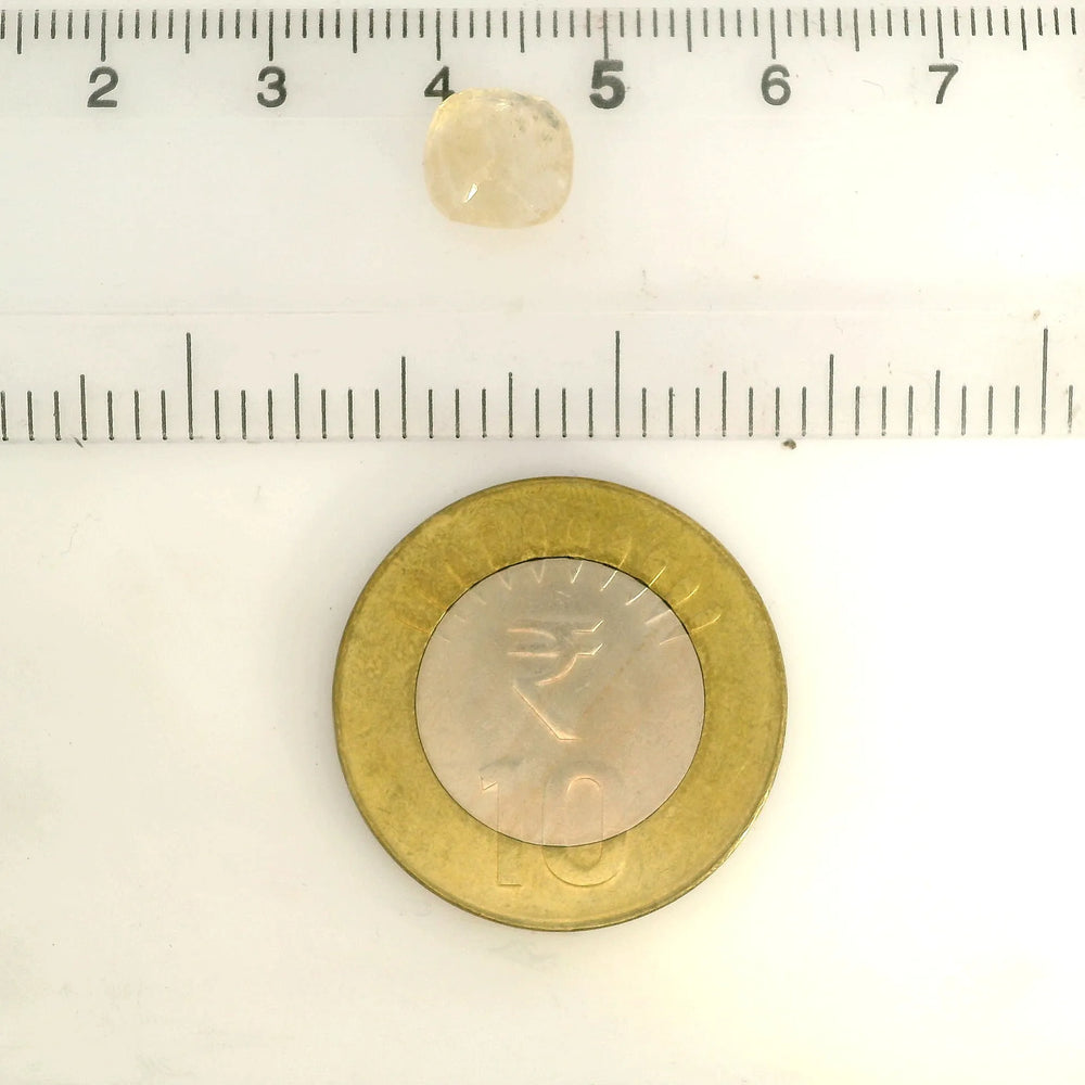 IGITL_217669_SCALE.webp