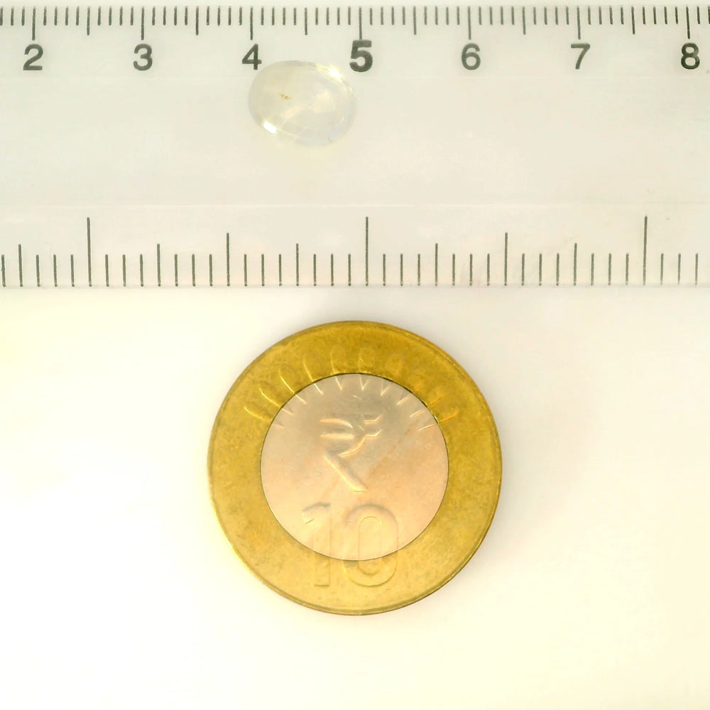 IGITL_217683_SCALE.webp