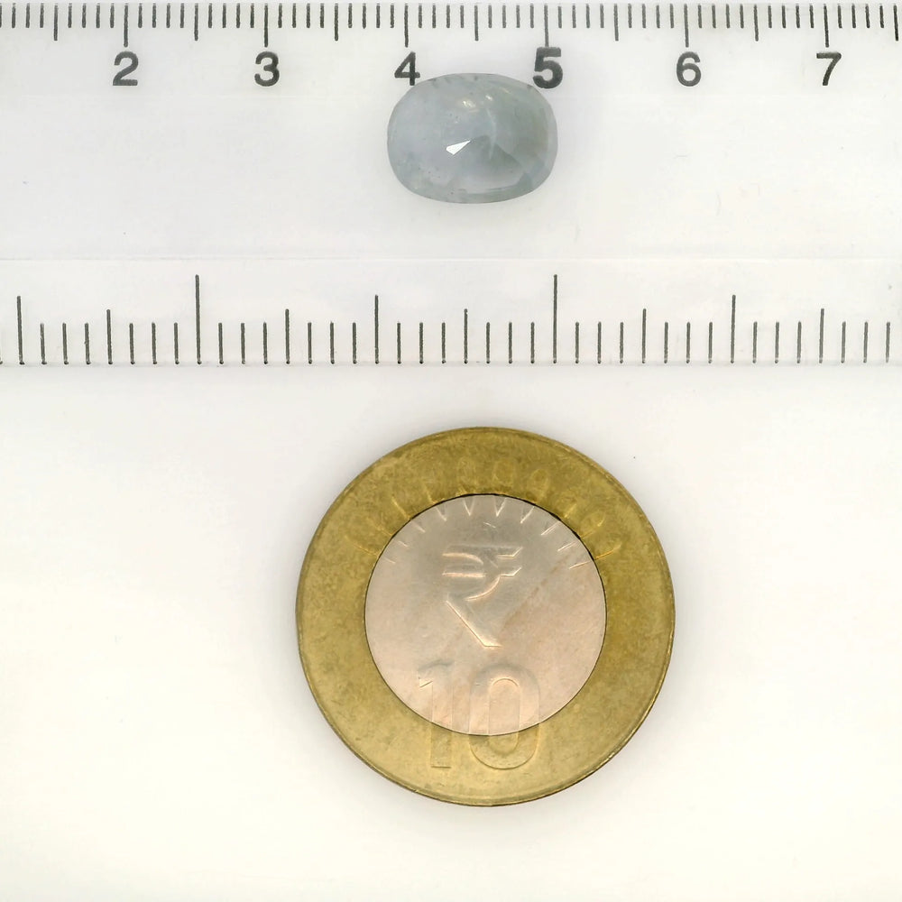 IGITL_217696_SCALE.webp