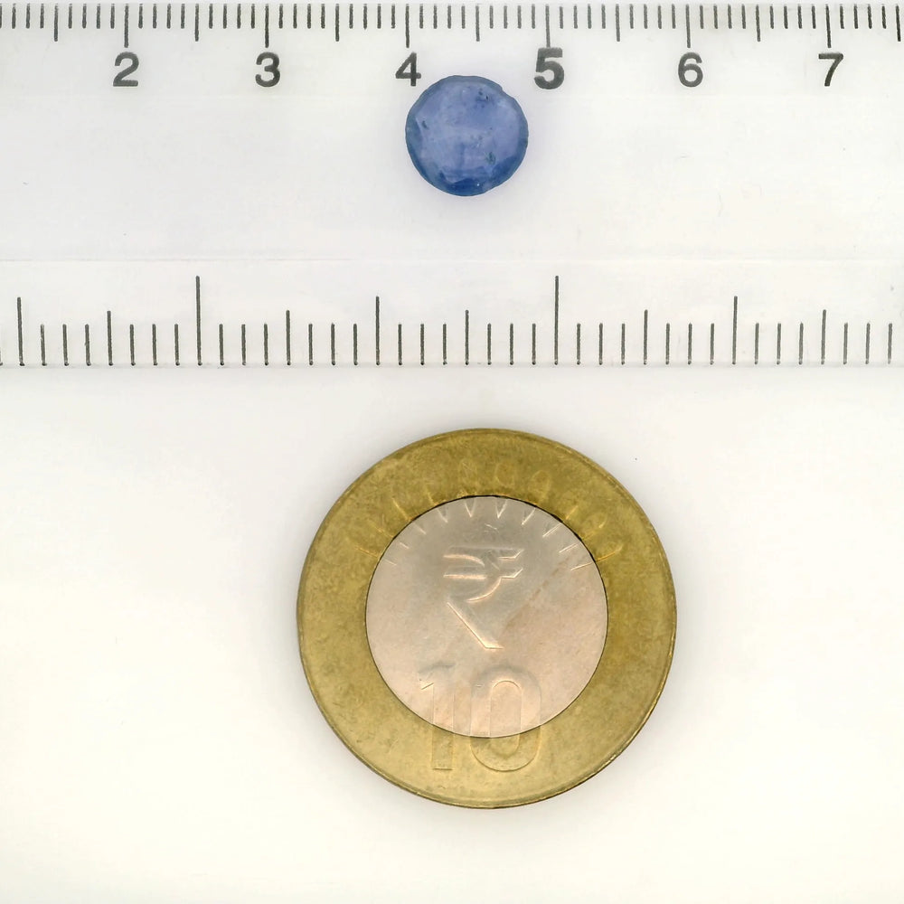 IGITL_217699_SCALE.webp