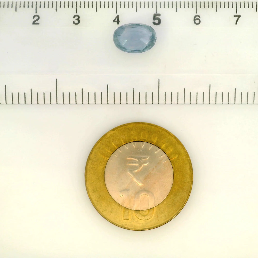 IGITL_217705_SCALE.webp