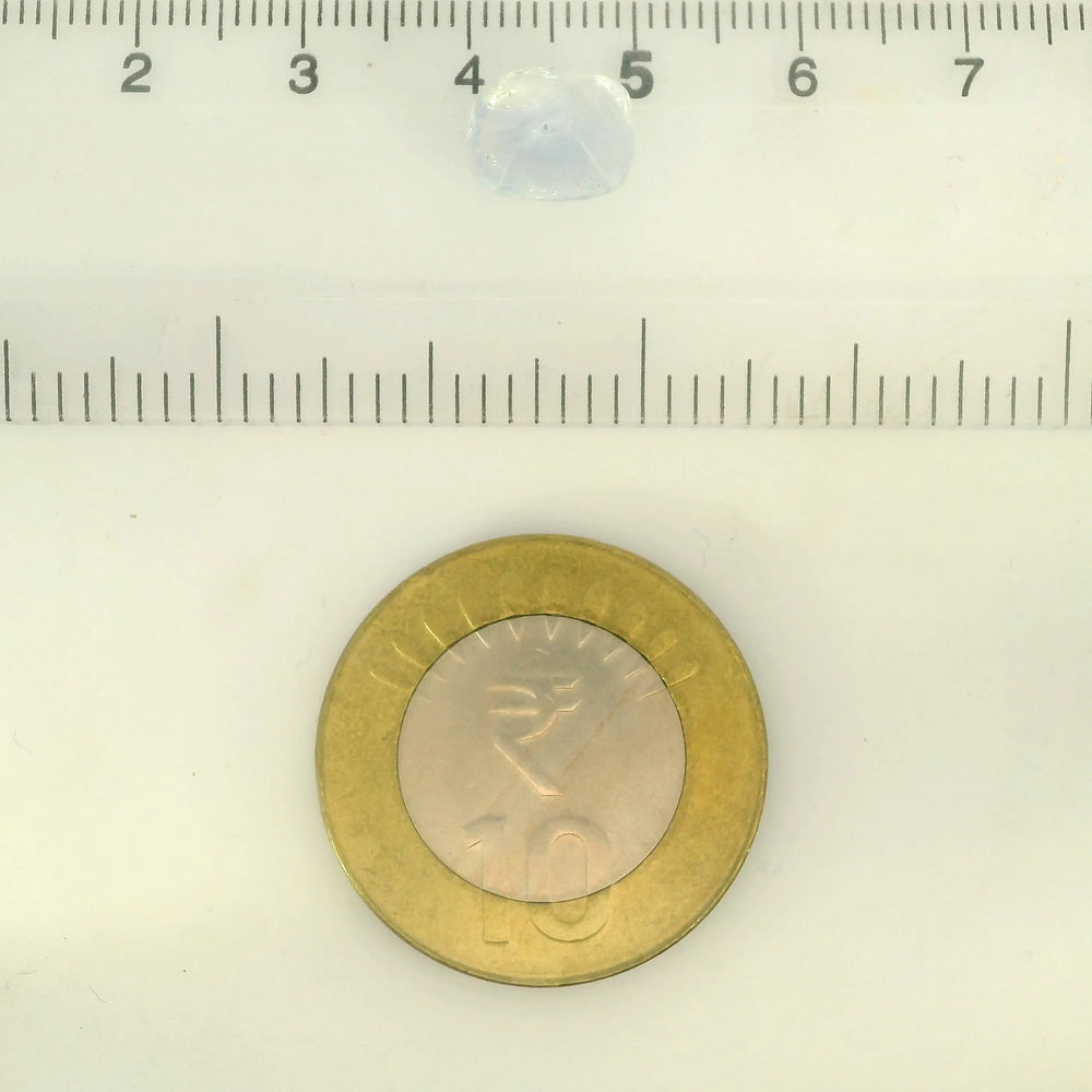 IGITL_217715_SCALE.webp