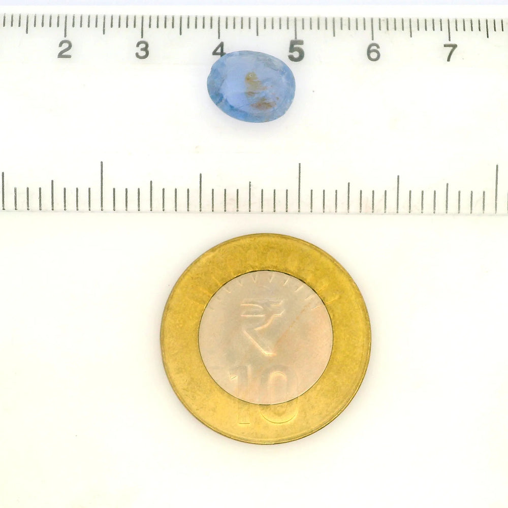 IGITL_217734_SCALE.webp