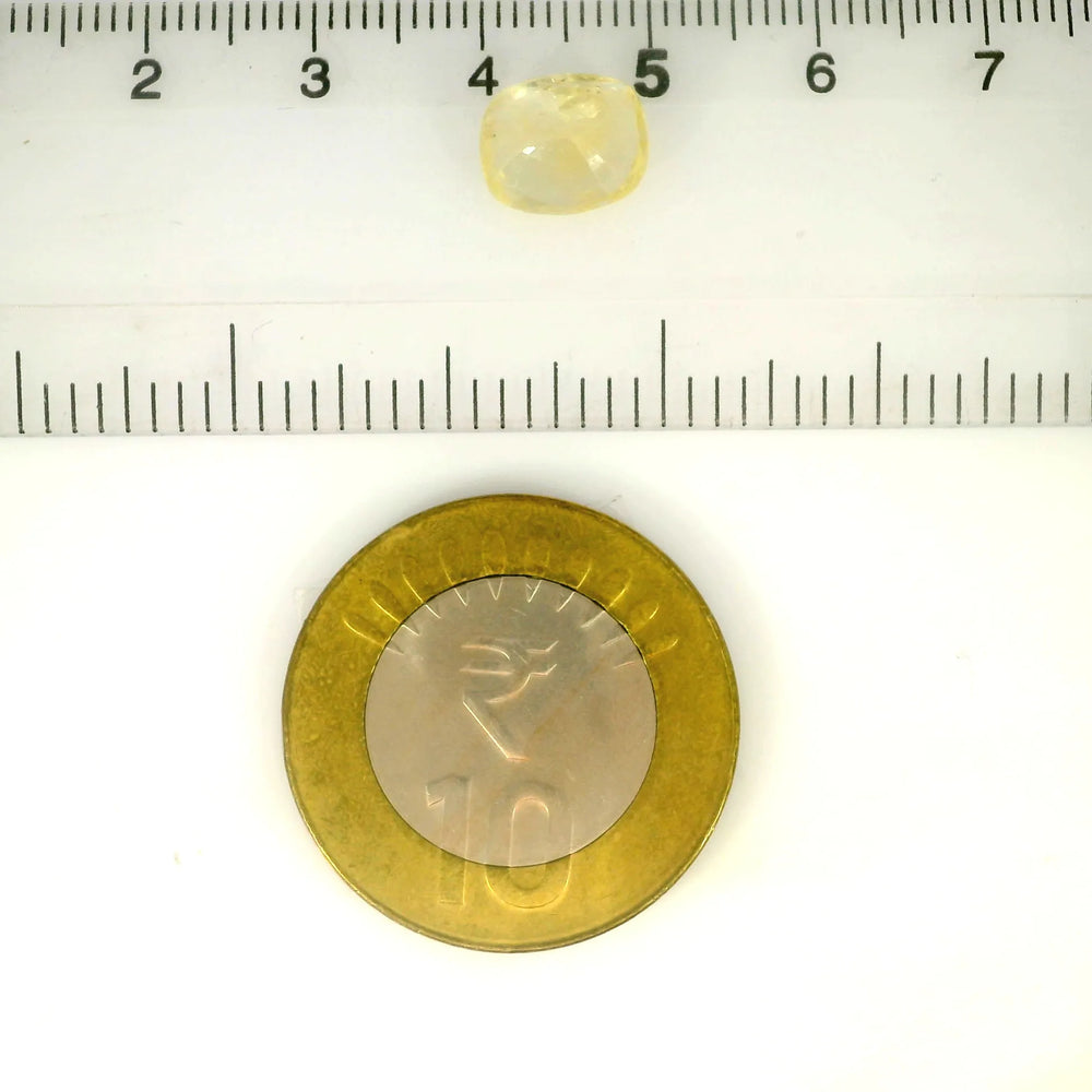 IGITL_217772_SCALE.webp