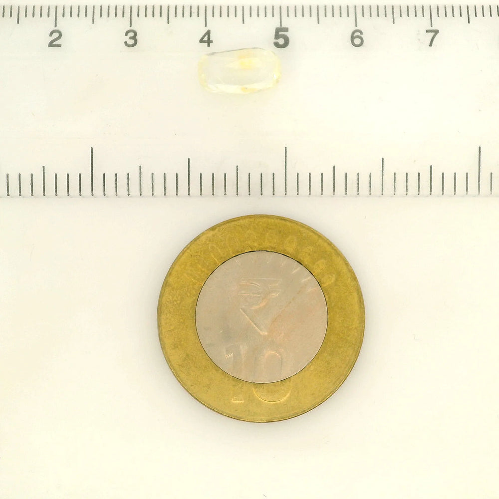 IGITL_217783_SCALE.webp