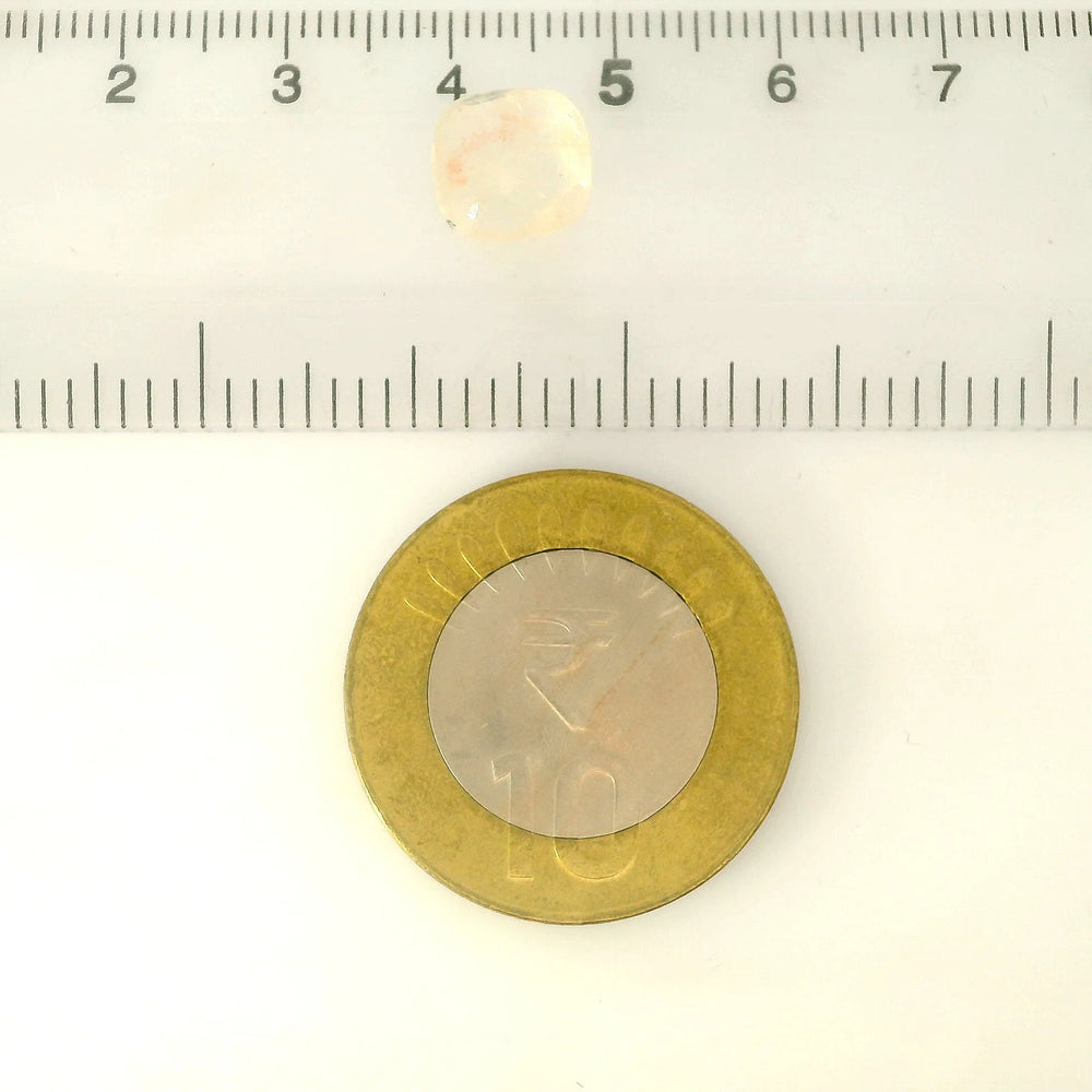 IGITL_217812_SCALE.webp