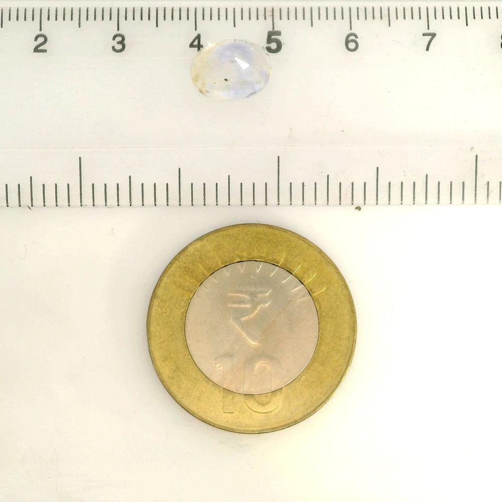 IGITL_217842_SCALE.webp