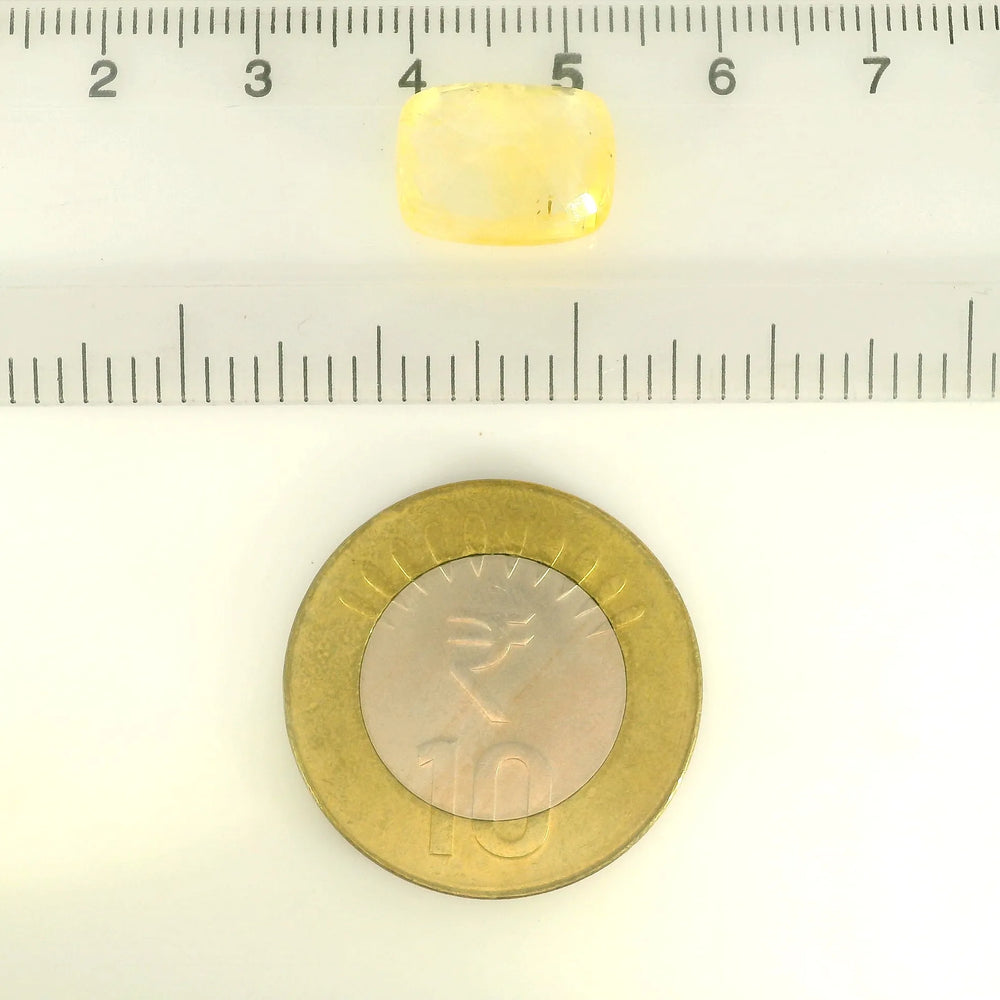 IIGJ_54760_SCALE.webp