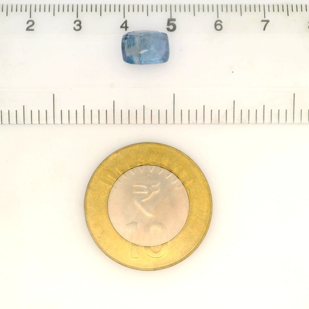 IIGJ_56522_SCALE.webp