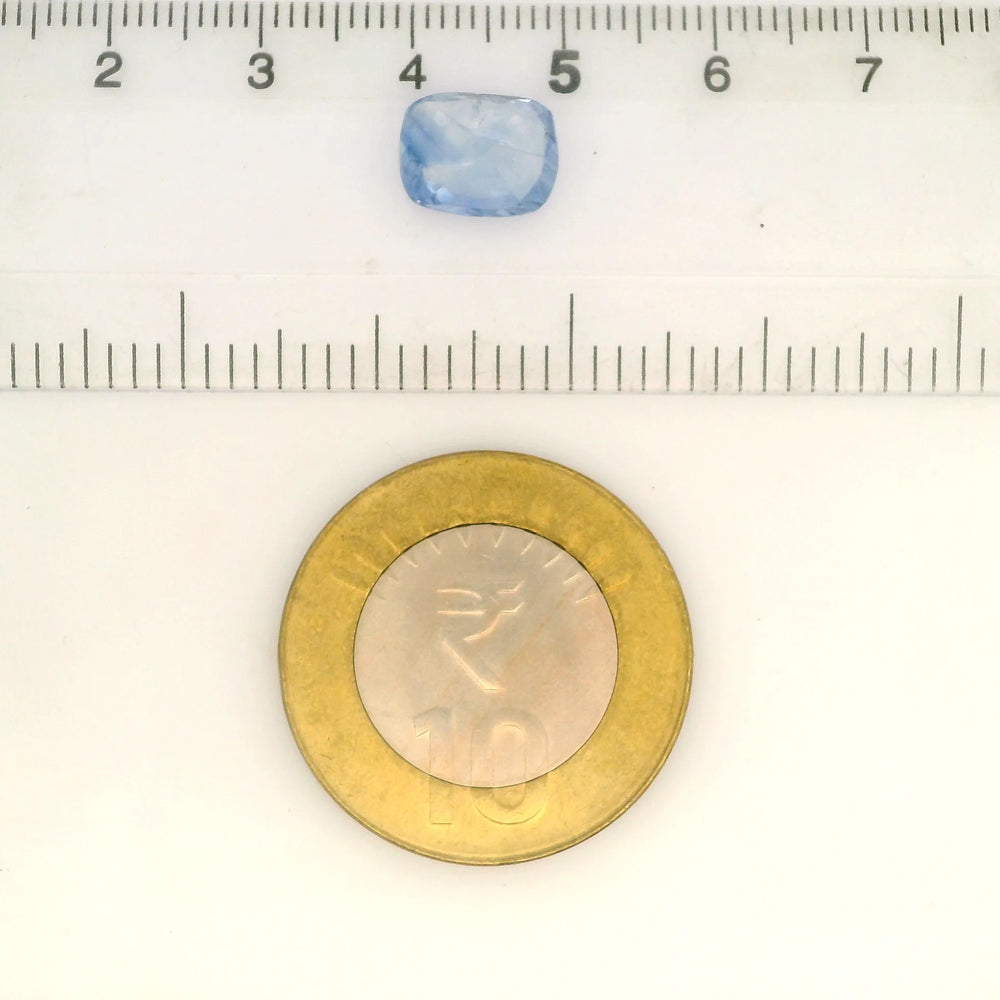 IIGJ_56524_SCALE.webp