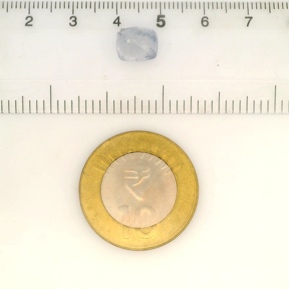 IIGJ_56525_SCALE.webp