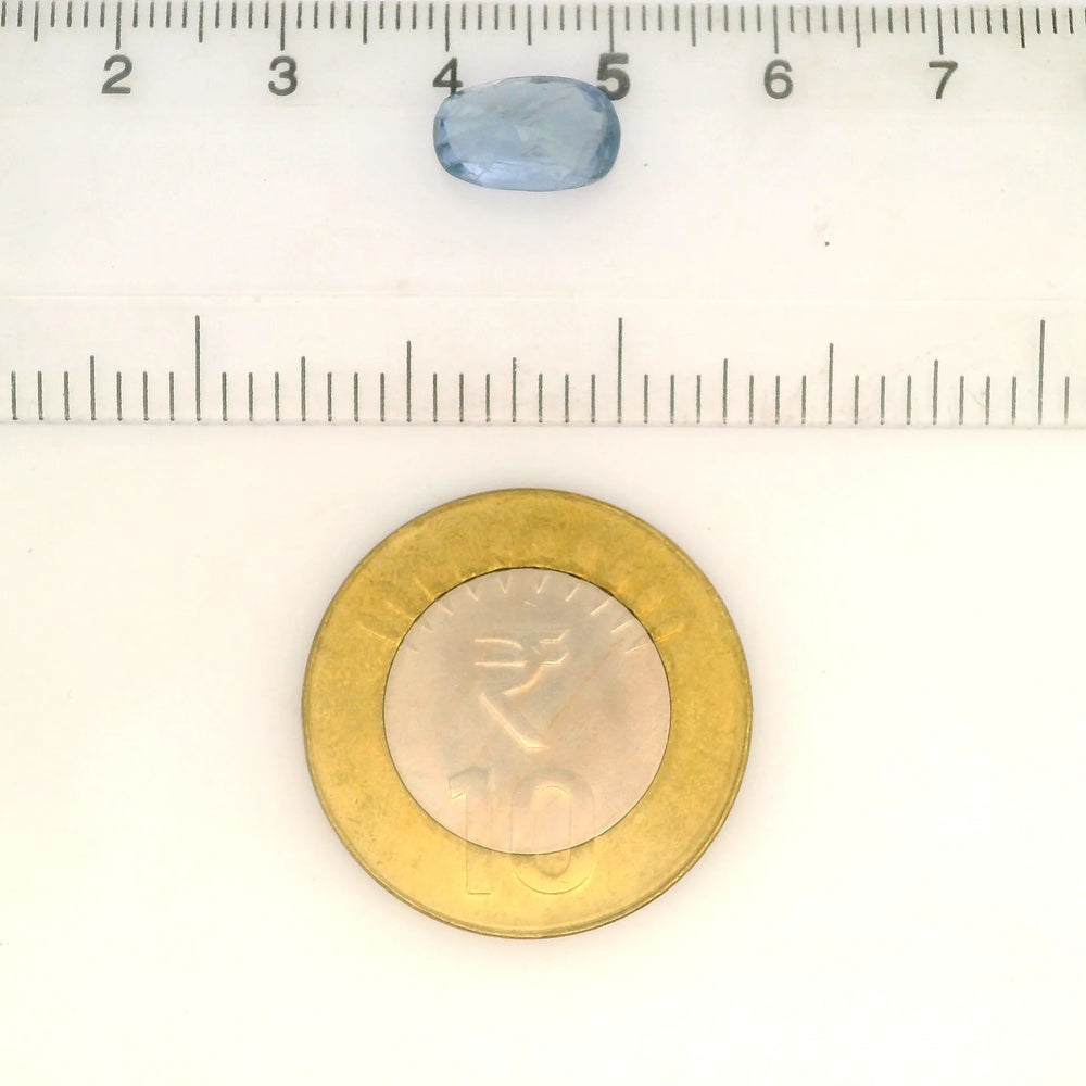 IIGJ_56530_SCALE.webp