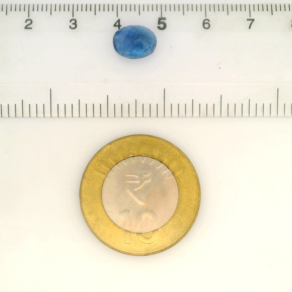IIGJ_56532_SCALE.webp
