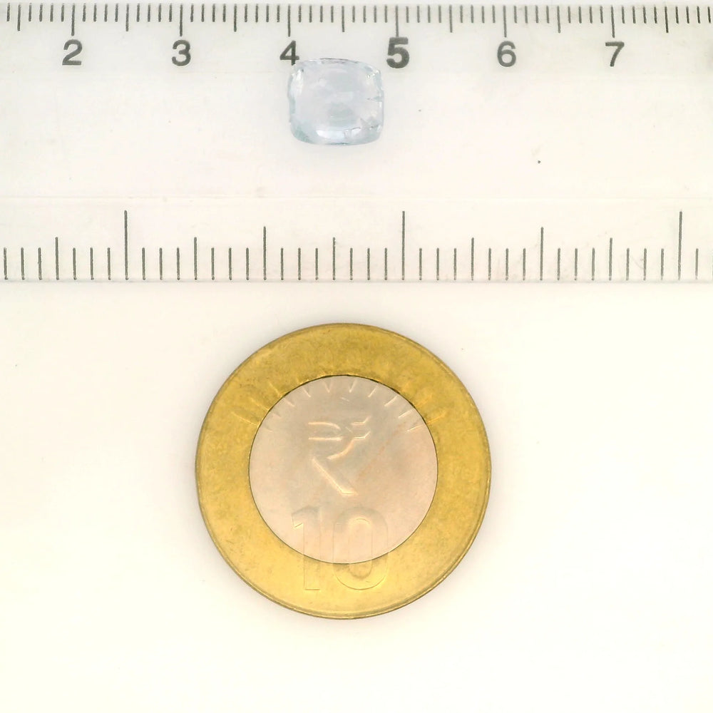 IIGJ_56535_SCALE.webp