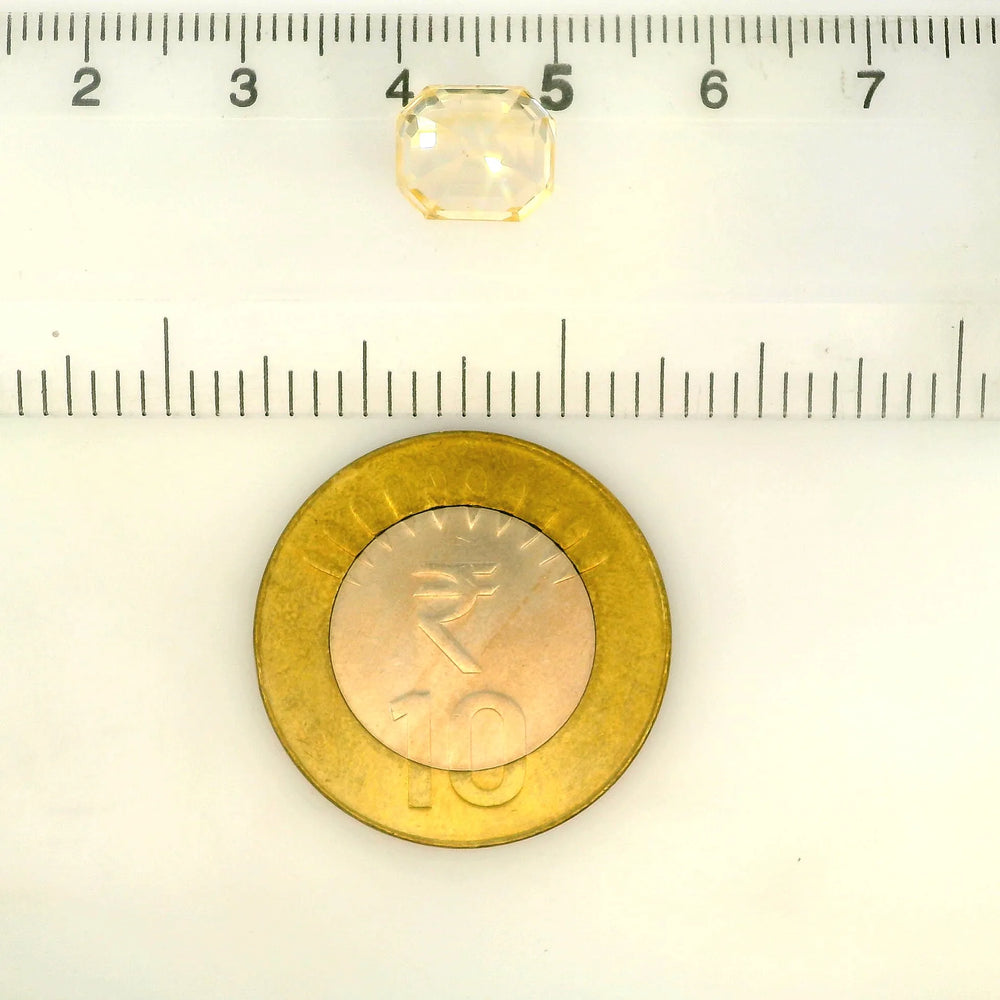 IIGJ_56568_SCALE.webp