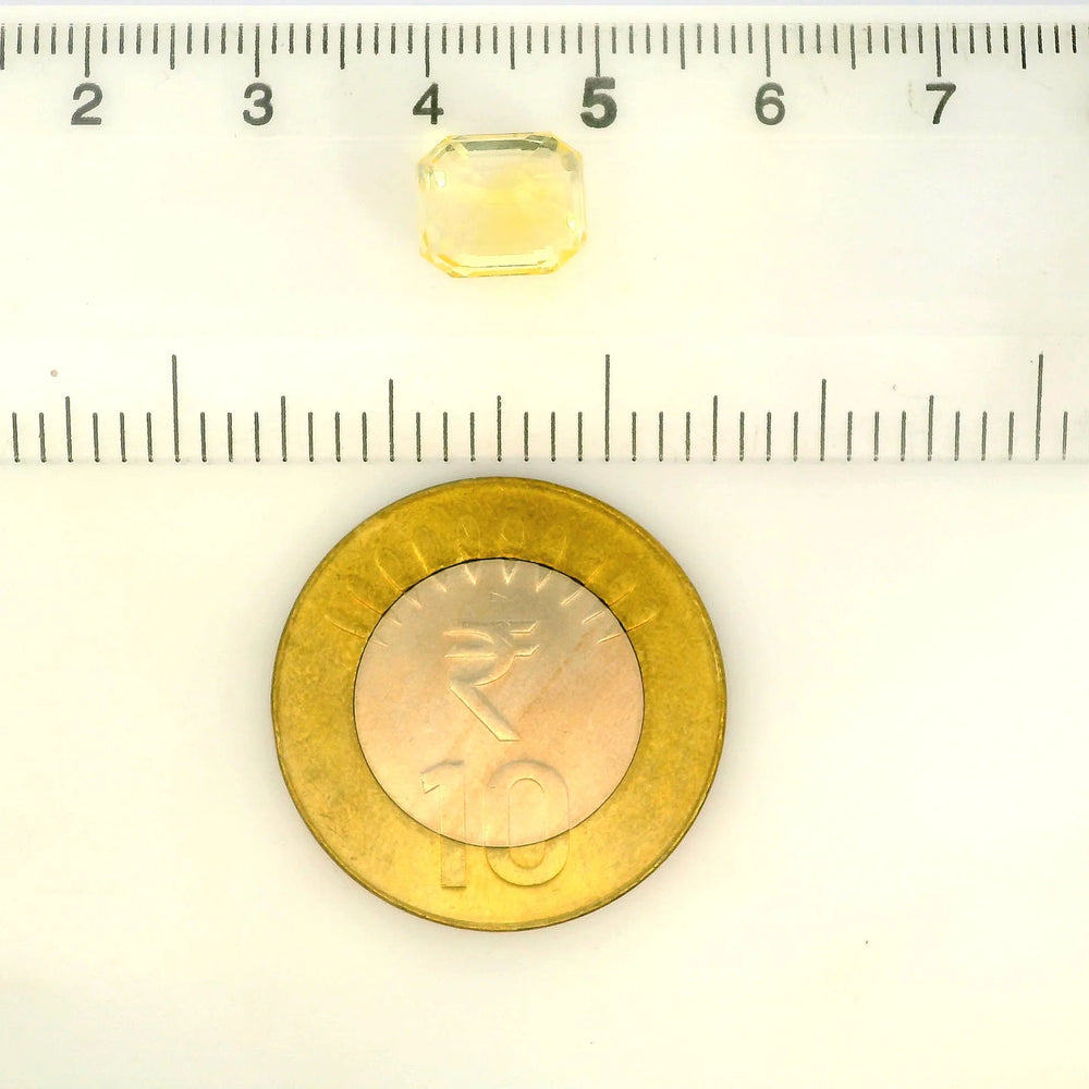 IIGJ_56571_SCALE.webp