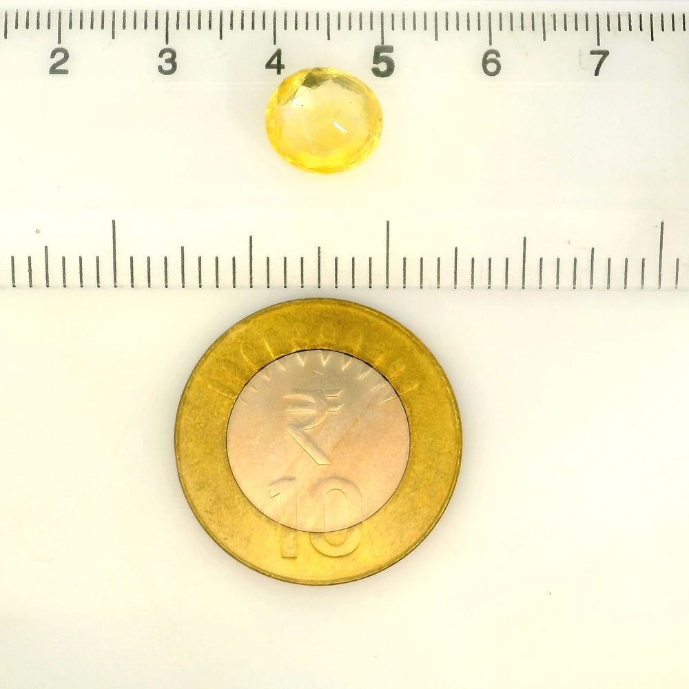 IIGJ_56574_SCALE.webp