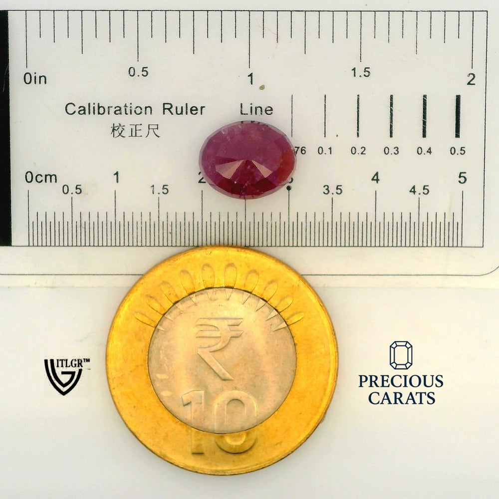 ITLGR_100306_SCALE.webp