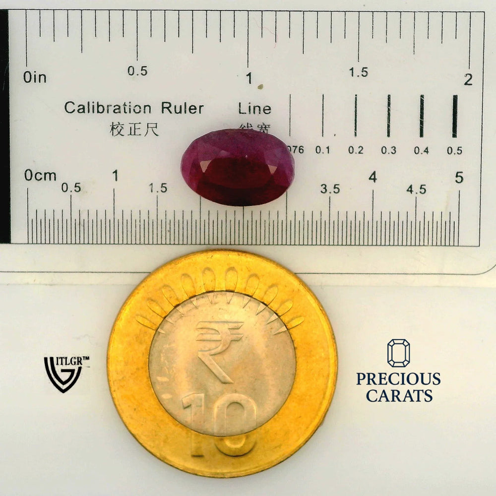 ITLGR_100307_SCALE.webp