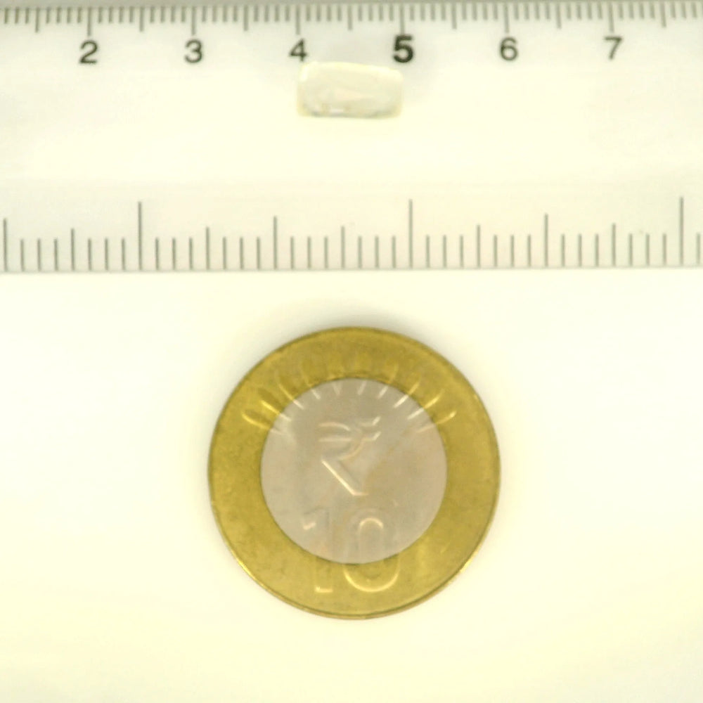 ITLGR_100343_SCALE.webp