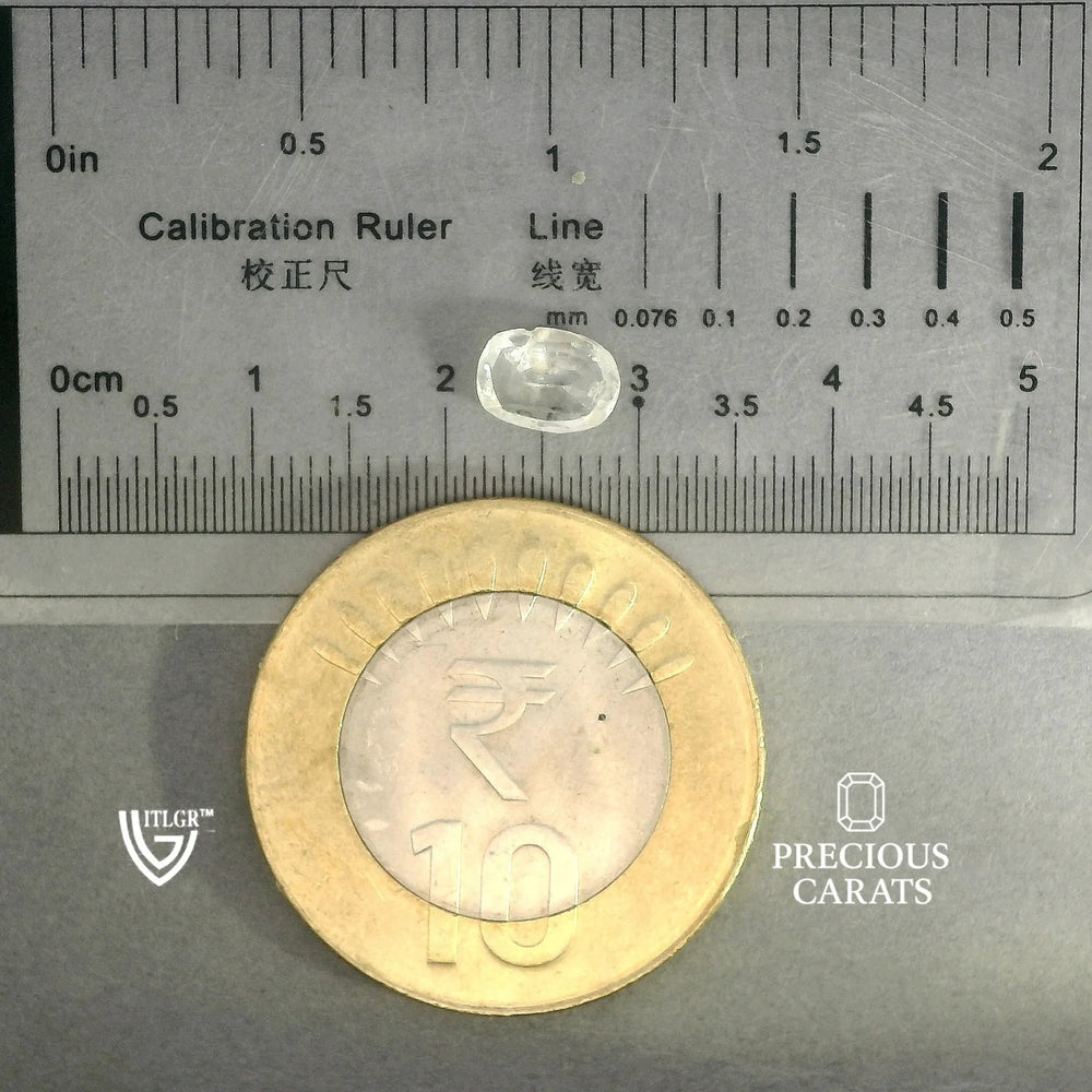 ITLGR_100376_SCALE.webp