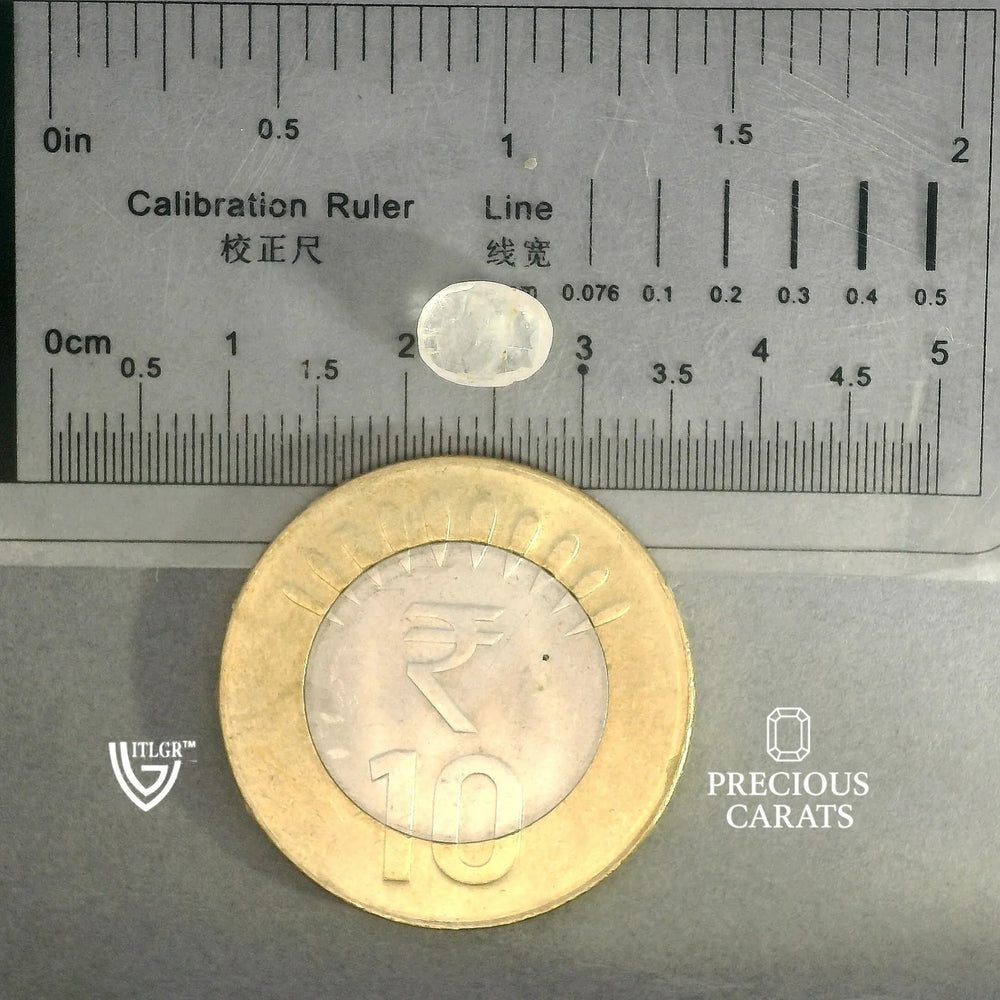 ITLGR_100377_SCALE.webp