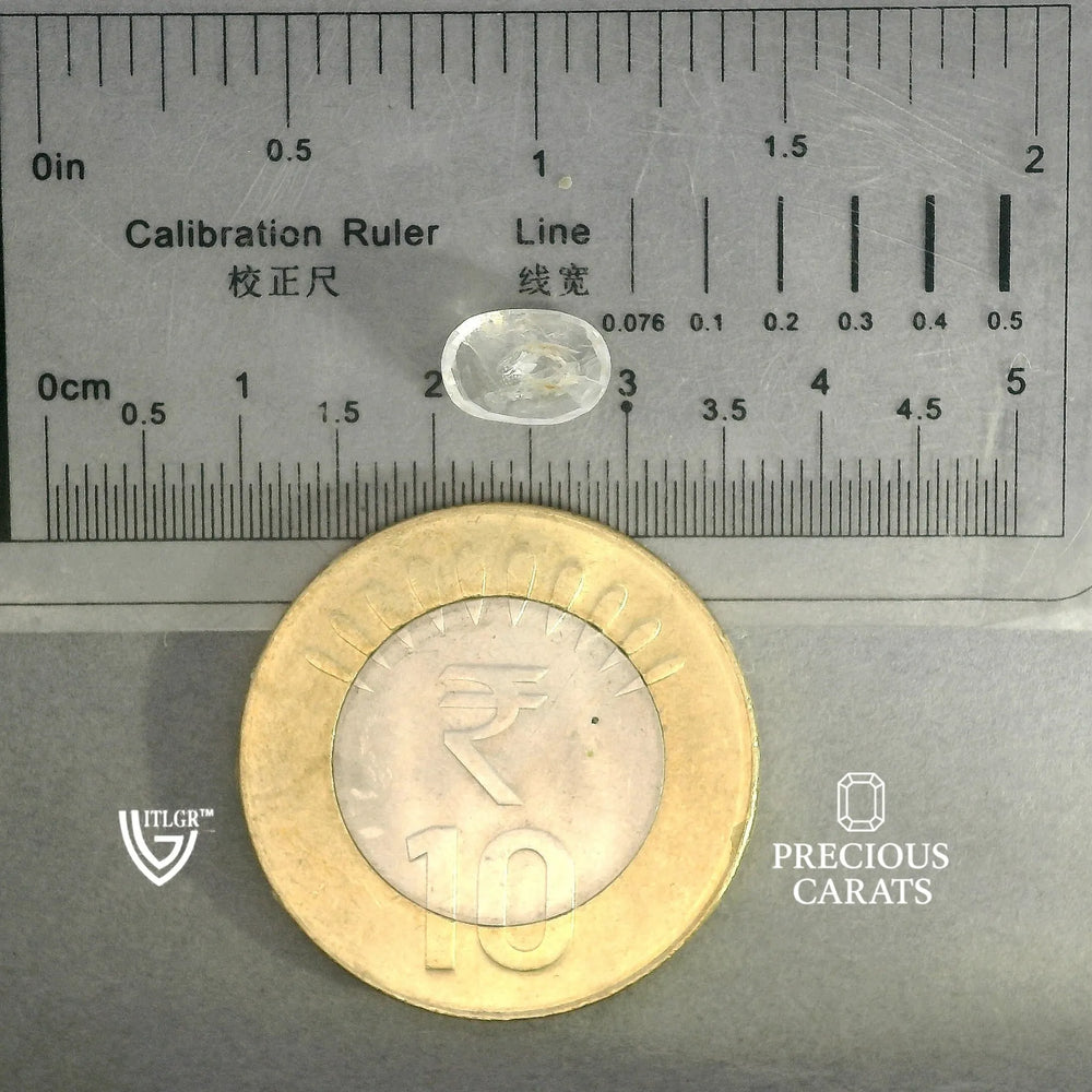 ITLGR_100378_SCALE.webp